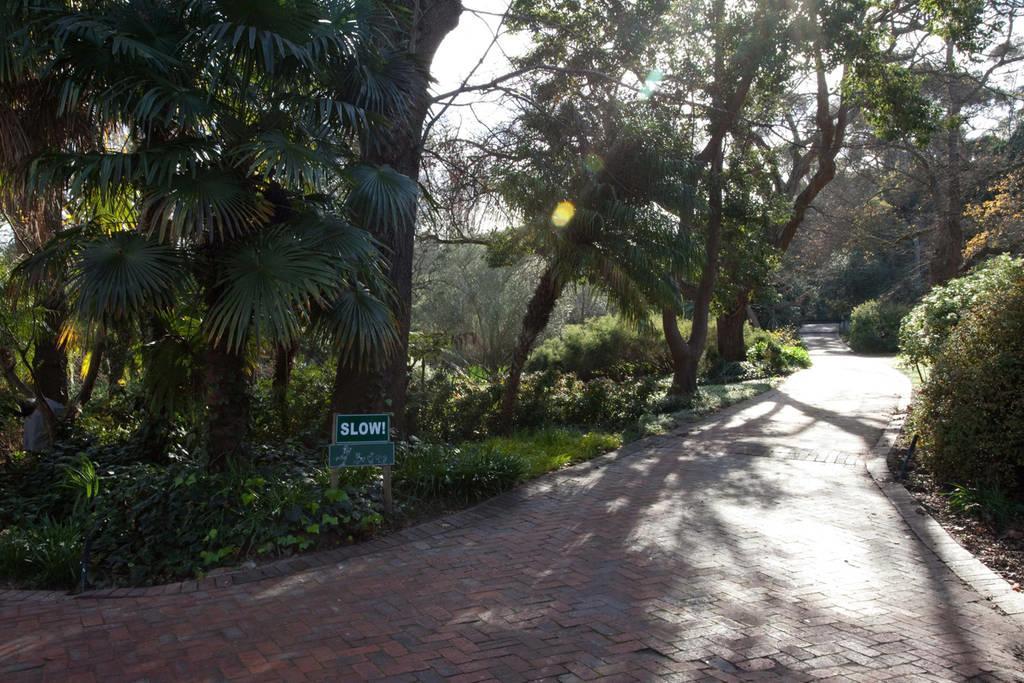 Viettz Suite Stellenbosch Exterior photo